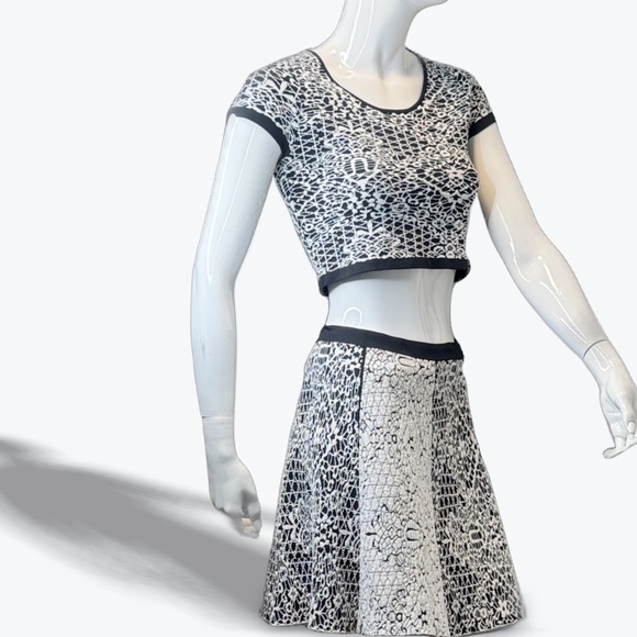 Parker Dresses & Skirts - Nina Crop Top & Skirt Set in Jacquard Knit by Designer Parker Skater Mod Small